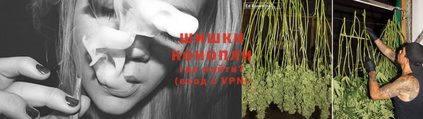 бошки Балахна