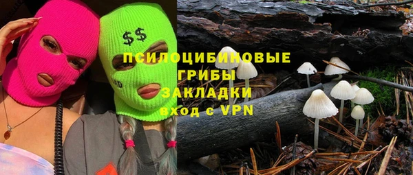 индика Слюдянка