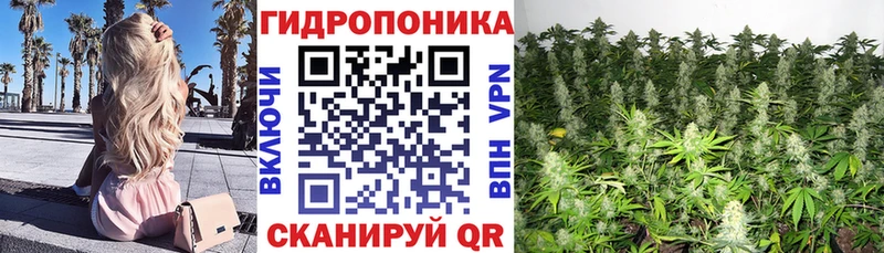 OMG ссылки Покровск Канабис VHQ наркота